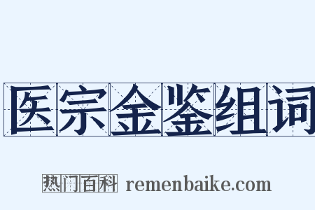 医宗金鉴组词是什么意思的图片